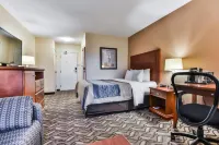 Comfort Inn & Suites Ambassador Bridge