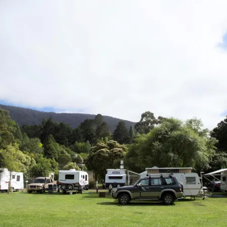 Warburton Holiday Park