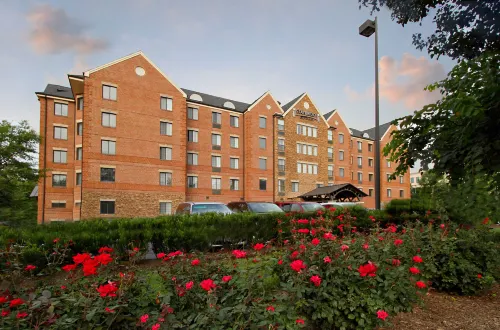 Staybridge Suites TYSONS - MCLEAN by IHG Hotels in McLean