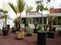 Hotel Dharma