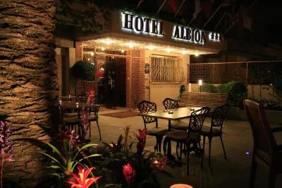 Hôtel Albion Hotels in 