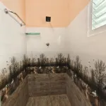 Square & Dormitory Stays