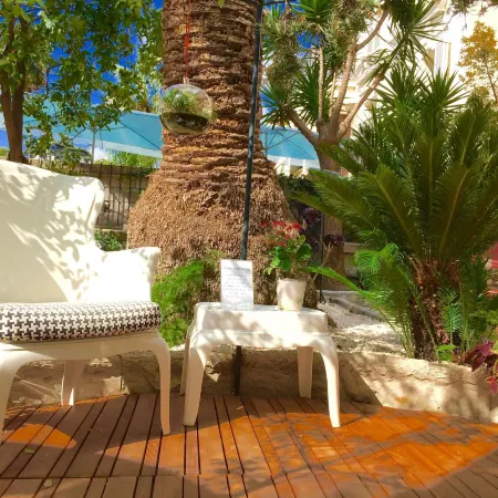 Hotel Villa Rose Отели рядом с достопримечательностью «Музей Матисса»