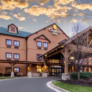 Comfort Inn St Robert-Fort Leonard Wood