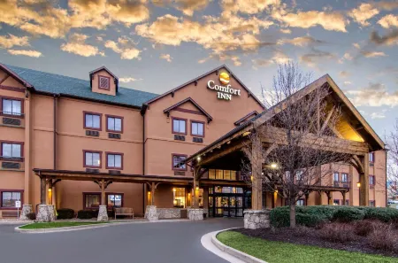 Comfort Inn St Robert-Fort Leonard Wood