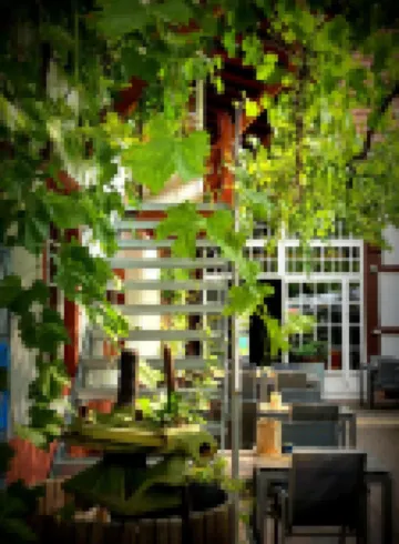 特瑞德帕德温特斯豪斯酒店