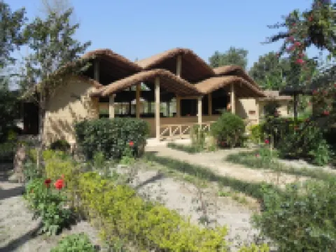 Racyshade Resort- Bardia National Park Hotels in 