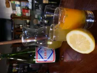 裡貝羅弗里奧之家旅館 - 酒吧