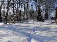 Nitschke "Zum Nusshof" Hotels in Barnim