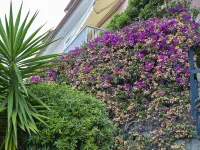 Casa Bianca a Bogliasco by Wonderful Italy Hotel a Bogliasco