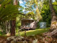 Whispering Valley Cottage Retreat Hotels in Maleny