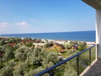 Lotus 7 Silver - Ocean View
