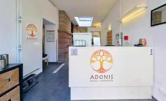 Adonis Hotel Strasbourg