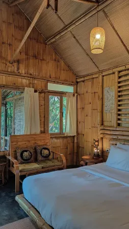 Bamboo Conservation Farm