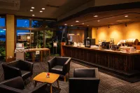 Kohan-No-Yado Morimoto - bar