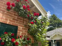 Rowan Brae Historic Guesthouse Hotels in Blackheath