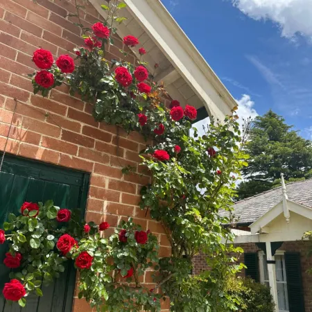 Rowan Brae Historic Guesthouse