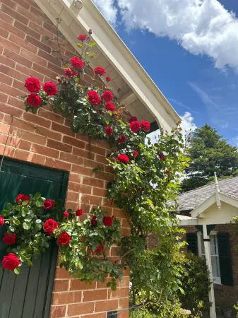 Rowan Brae Historic Guesthouse Отели в г. Kanimbla