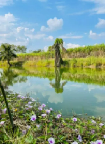 Tungdindum Farm Stay Hotels in Kamphaeng Saen