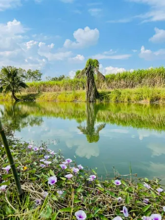 Tungdindum Farm Stay Отели рядом с достопримечательностью «Khao Takong Park Bureau of Monks»