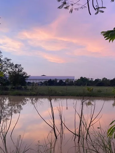 รูปภาพของบ้านสวนปาล์มรีสอร์ท