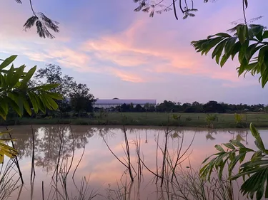 รูปภาพของบ้านสวนปาล์มรีสอร์ท