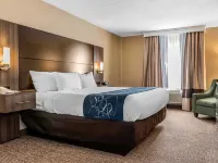 Comfort Suites Miamisburg - Dayton South - parking