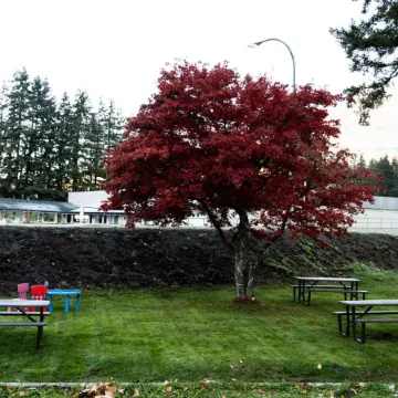 Mountain View Hope Motel