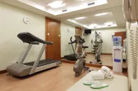 Holiday Inn NORD-ZARA by IHG - Gym