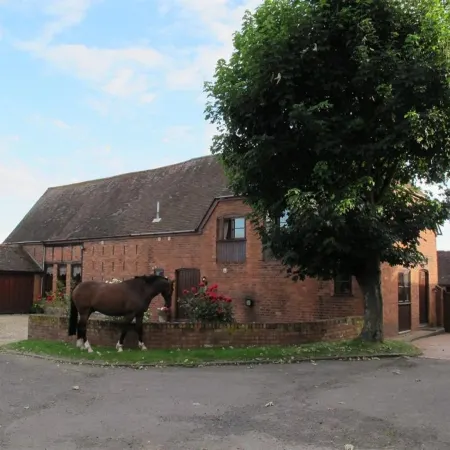 Bluebell Farm