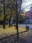 Hotel Adelchi