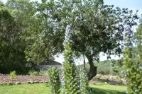 Quinta do Freixo Hotels in Sao Bartolomeu de Messines
