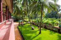 Lazy Frog Guest House - Pensions