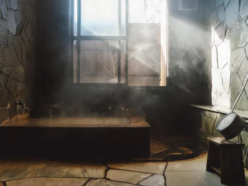 Lodge Atelier - Hot Springs