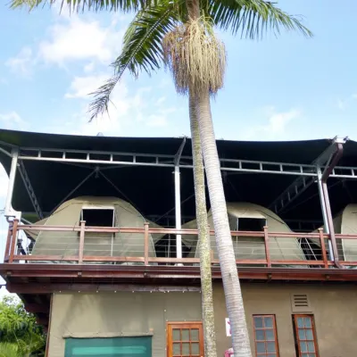 Tree Top Village Urban Glamping Hotels near Saint Lucia Estuary