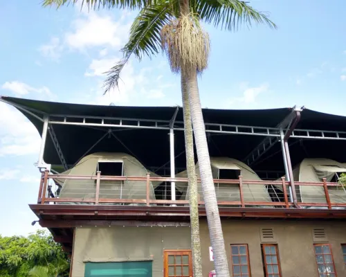 Tree Top Village Urban Glamping Hotels in North Uthungulu