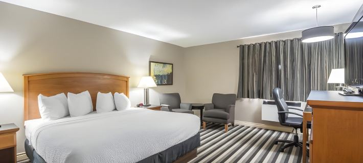 Quality Inn West Edmonton Hotels in Edmonton