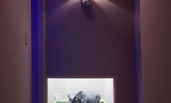 Design Hotel W Zip Club