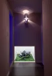 Design Hotel W Zip Club
