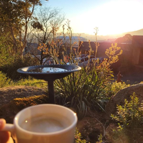 Garden view from accommodation in Albany, Western Australia