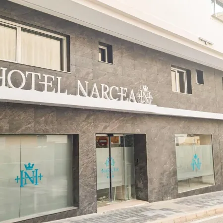 Hotel Narcea