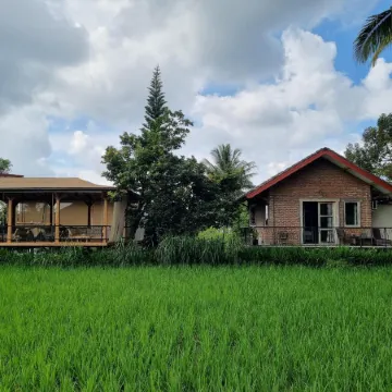 Les Rizieres Lombok