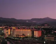 โรงแรมปวยร์โต พาเลซ โรงแรมใน