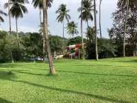 Teak Town - 3 estrellas