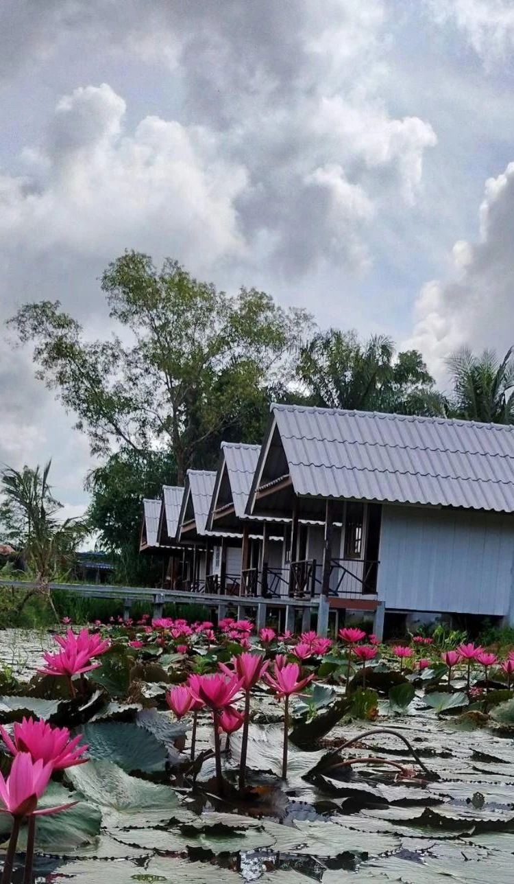 รูปภาพของปารมีฟาร์มสเตย์