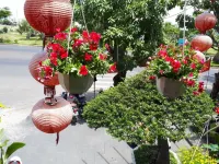 Hiep Yen Hotel - Mountain view