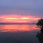Omah Alchy Cottages - Beach