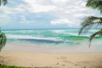 Surfing Tusker - Thalpe - Wifi