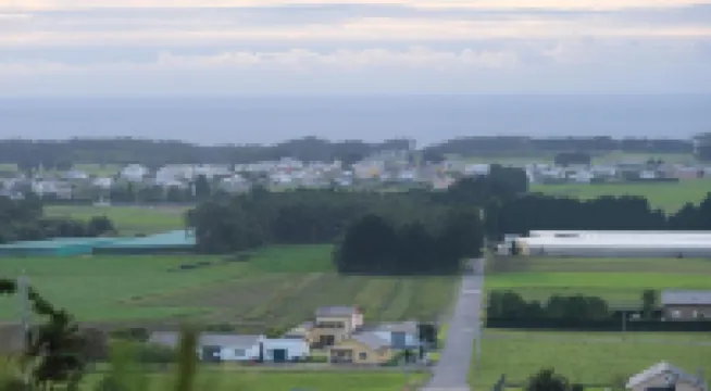 Hotel la Casa de Las Camelias