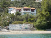 Azalea - Beach